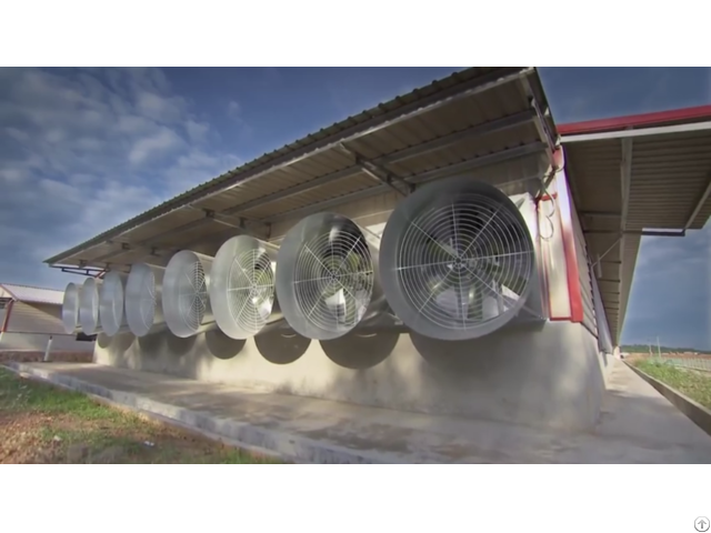 Ventilation Equipment For Poultry House