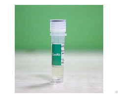 Recombinant Human Tmem30c