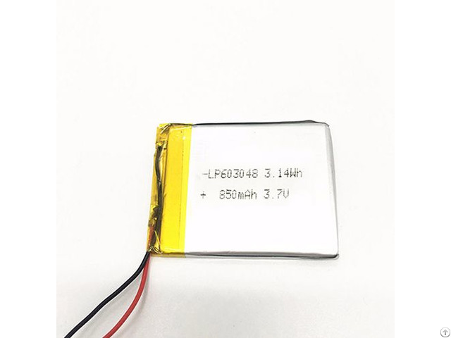 Lipolymer Battery