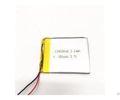 Lipolymer Battery