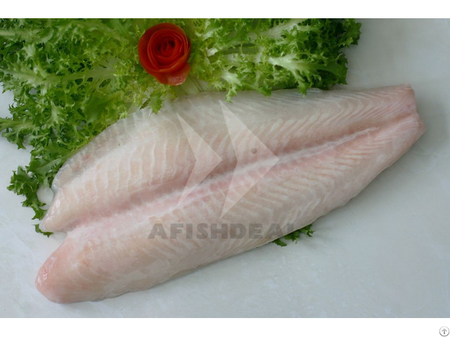 Frozen Pangasius Fillet Afishdeal