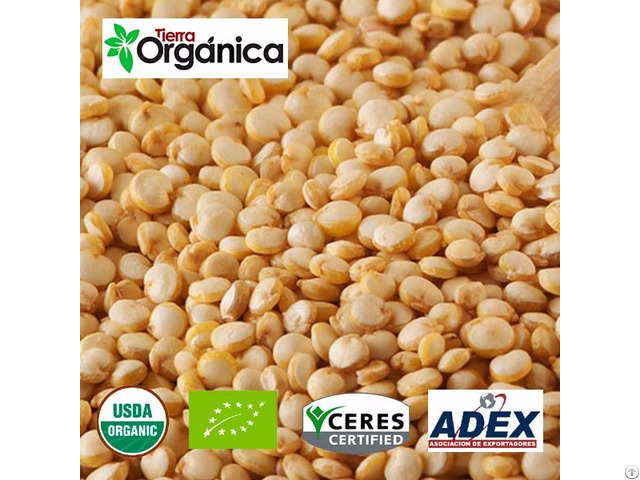 Organic Conventional Quinoa