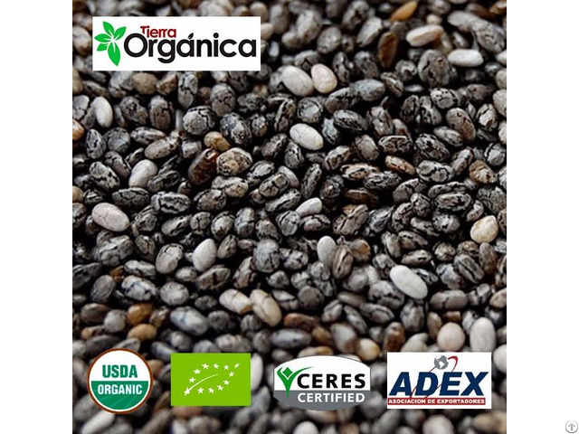 Chia Organic And Conventional