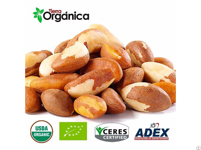 Brazil Nuts Organic And Conventional