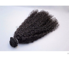 Kinky Curly Human Hair