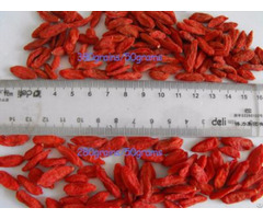 Dried Goji Berry