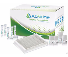 Elikine Human Il 2 Elisa Kit