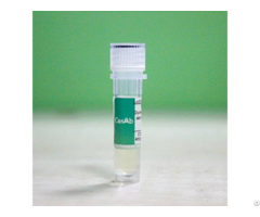 Recombinant Guinea Pig Cysteinyl Leukotriene Receptor 1