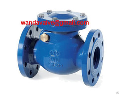 Cast Iron Swing Check Valve Din Pn16