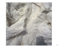 Cotton Pneumafil
