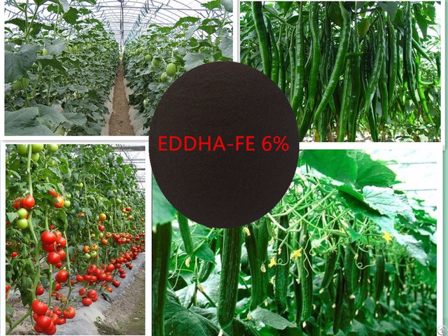 Eddha Fe 6 Percent Chelated Iron