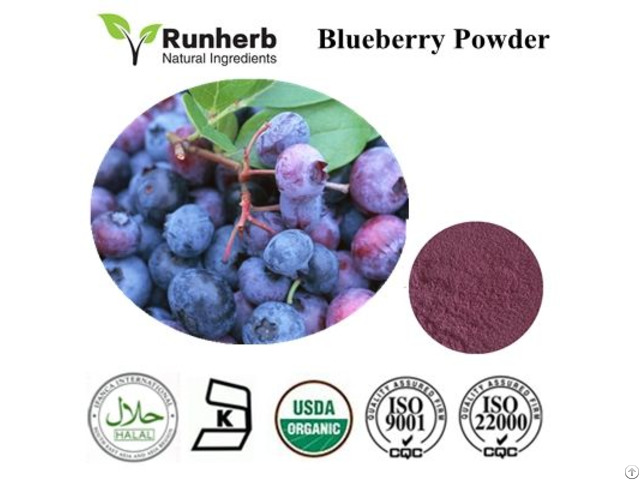 Blueberry Powder