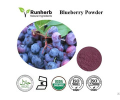 Blueberry Powder