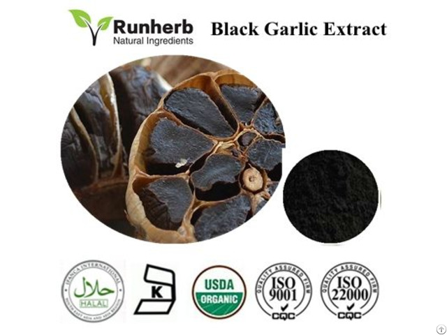 Black Garlic Extract