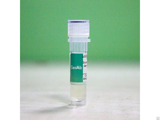 Recombinant Human Olfactory Receptor 10x1