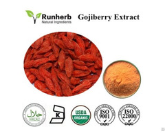 Wolfberry Extract