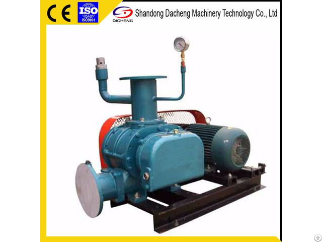 Dsr V Roots Vacuum Blower