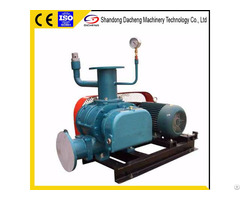 Dsr V Roots Vacuum Blower