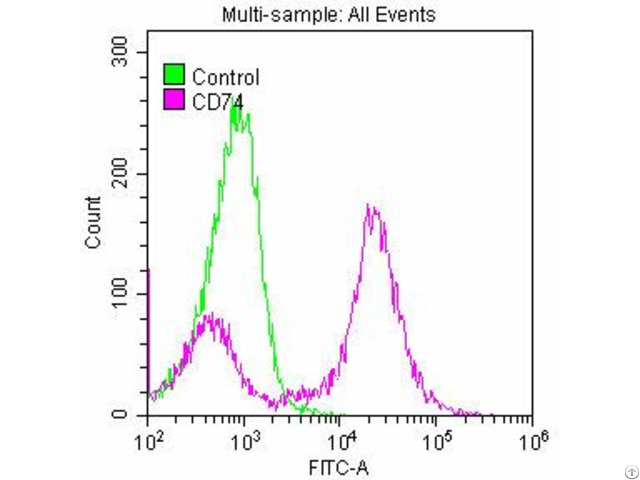 Cd74 Antibody