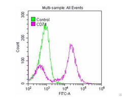 Cd74 Antibody