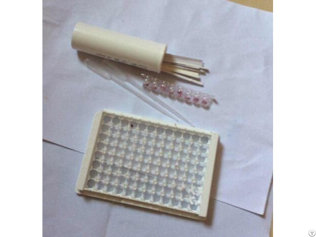 Food Safety Detection 2 In 1 Beta Lactams And Tetracycline Antibiotic Test Kit Milk