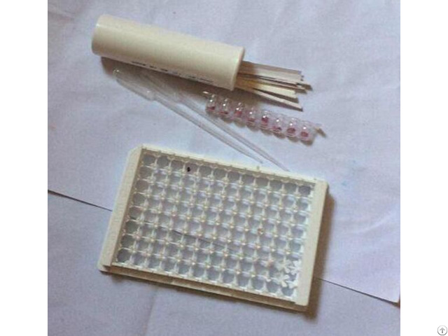 Detection Dairy Testing Antibiotics Residues Test Kit Milk Melamine