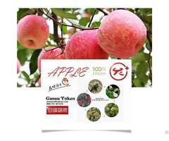 Fresh Apple Fuji Huaniu Red Dicious