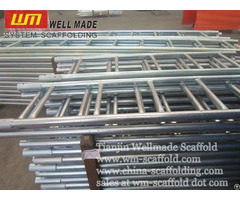 Cuplock Steel Ladders