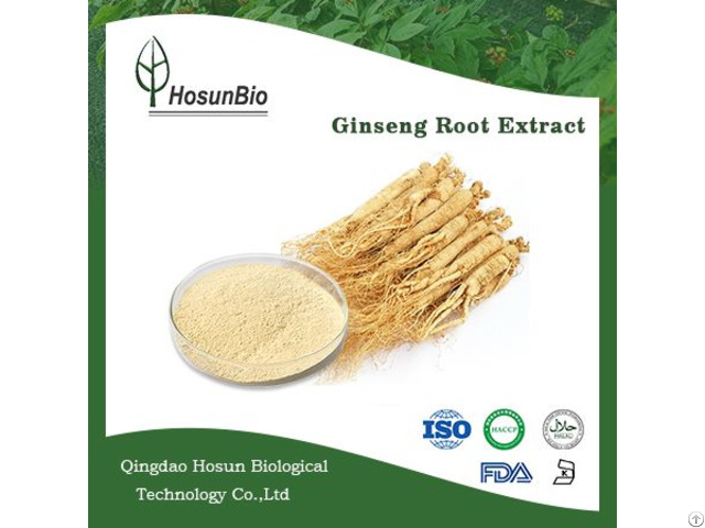 High Quality Ginseng Extract Powder Made In China With Free Samples