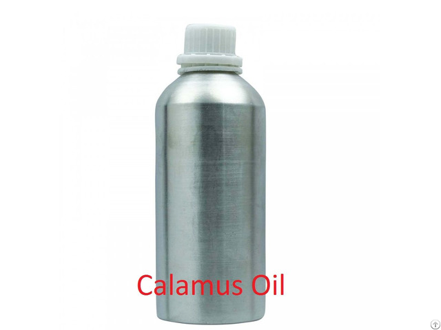 Calamus Essential Oil