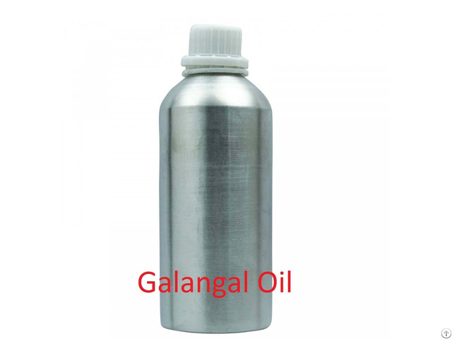 Galangal Essential Oil