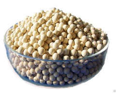 Buy Best Quality Molecular Sieve