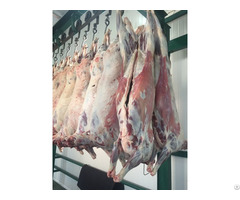 Chilled Frozen Lamb Carcasses