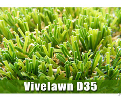 Landscape Grass Vivelawn D35