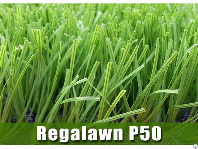 Football Grass Regalawn P50