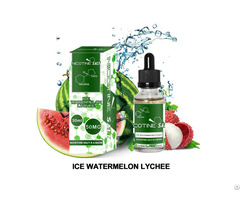 Feellife Ice Watermelon Lychee Nicotine Salt E Liquid