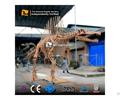 Jurassic Dinosaur World Attraction Spinosaurus Skeleton Model