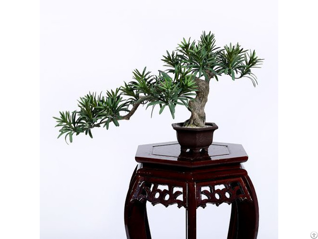 Faux Buddhist Pine Tree