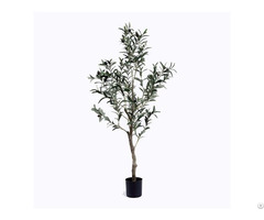 Silk Olive Tree