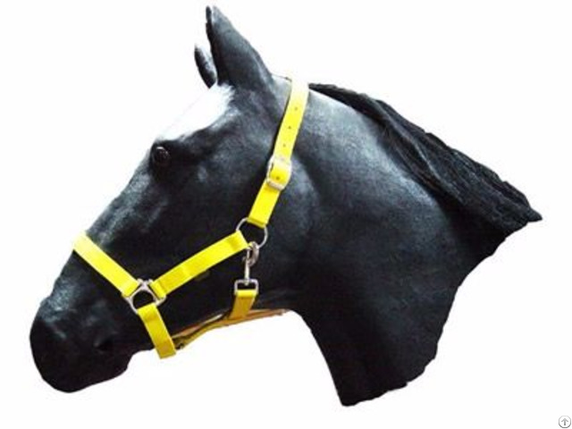 Horse Halter