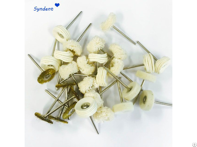 Dental Polishing Brush