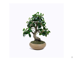 Artificial Ficus Microcarpa