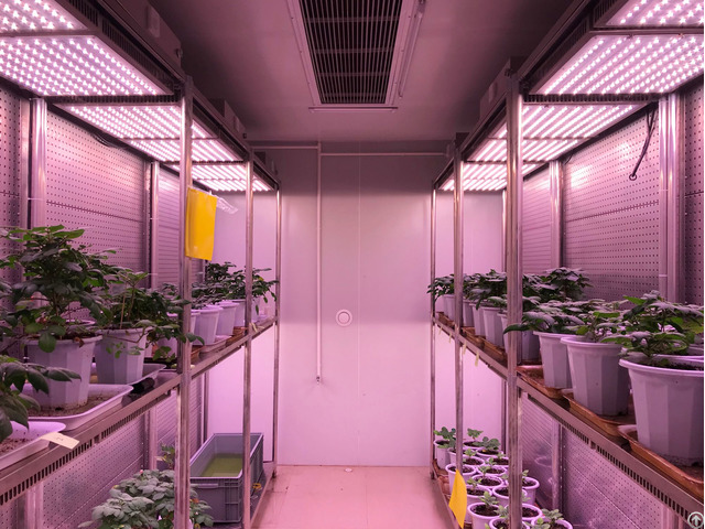 Walk In Plant Growth Chamber