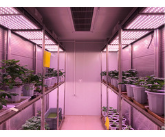 Walk In Plant Growth Chamber