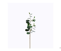 Plastic Ficus Microcarpa Foliage