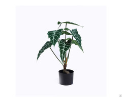 Artificial Alocasia Amazonica