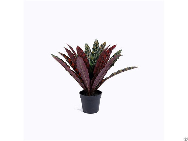 Artificial Silk Rattlesnake Plant