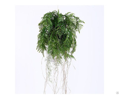 Plastic Hanging Fern Plants