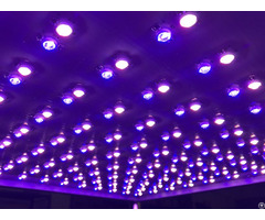 Four Colors Led Plant Growing Lights
