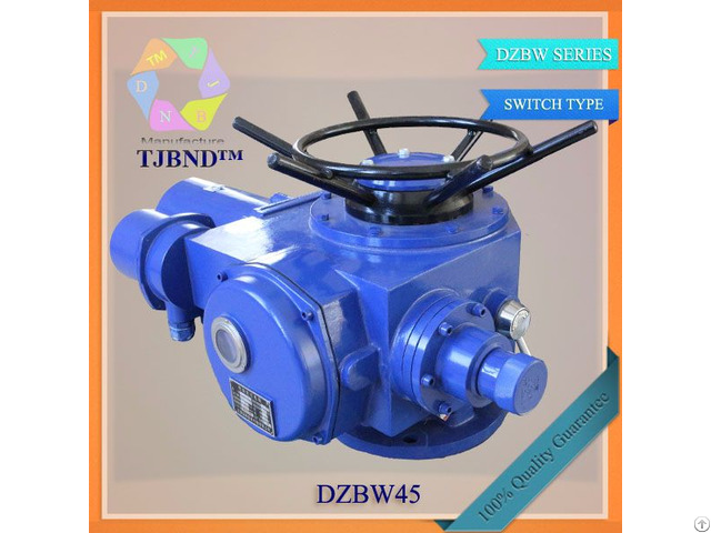Dzw Series Normal Type Electric Actuator